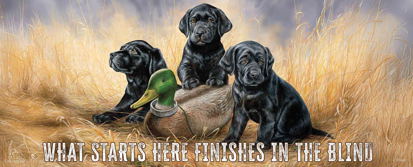Ready for Class - Black Lab Puppies “What Starts Here Finishes in the Blind.” 12" x 30" Wood Sign - Official Ducks Unlimited Art