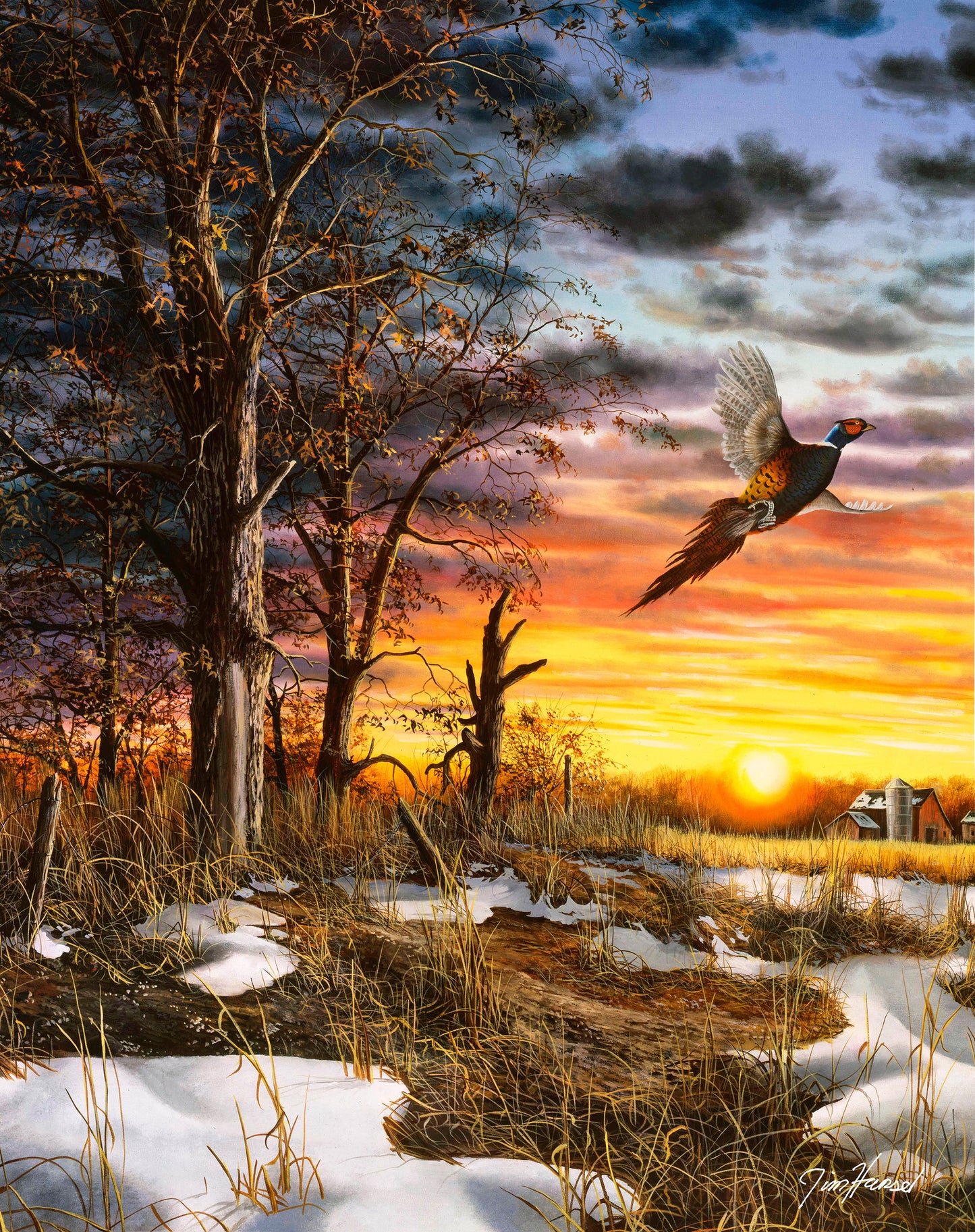 Autumn Ringneck - 11" x 14" Gallery Wrapped Canvas