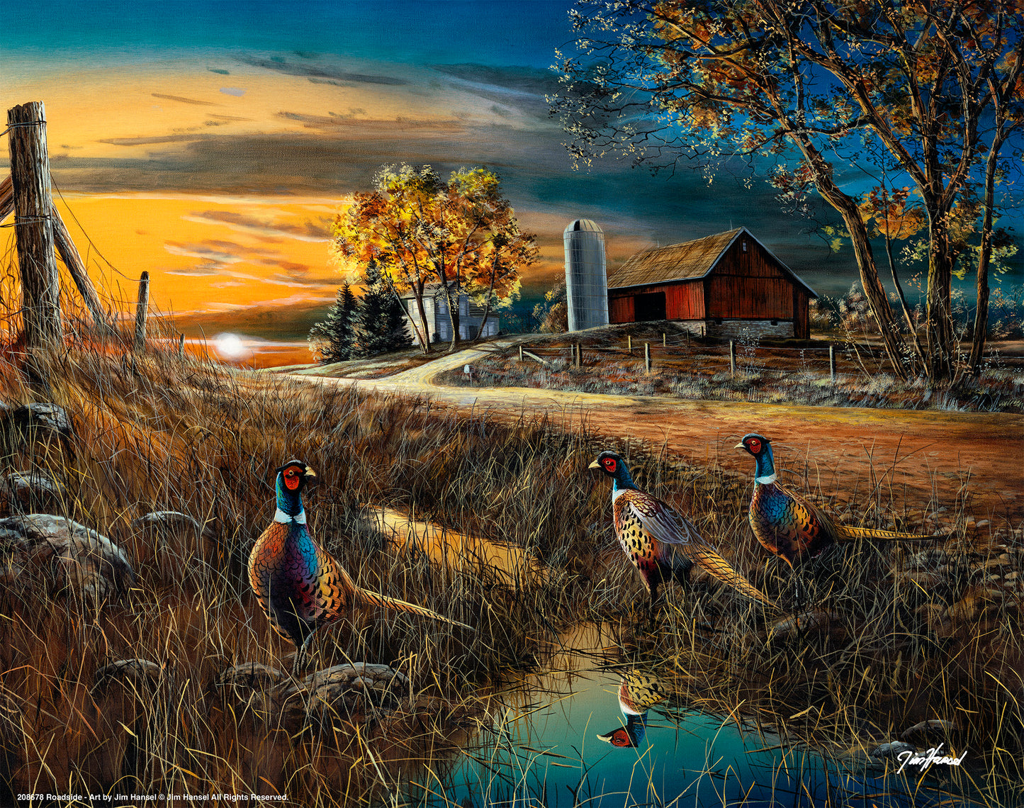 Roadside - Art Prints
