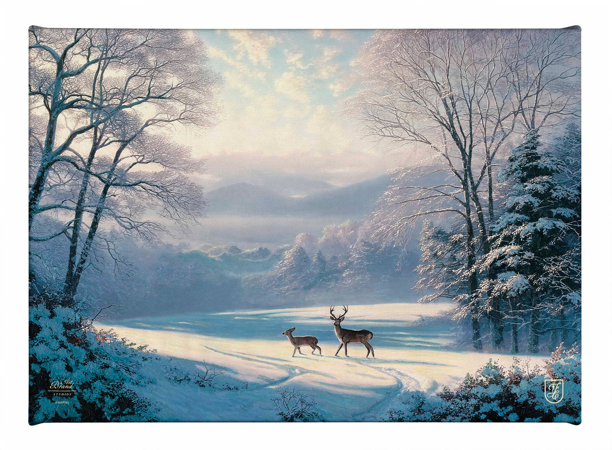 Winter's Grace - 10" x 14" Gallery Wrapped Canvas