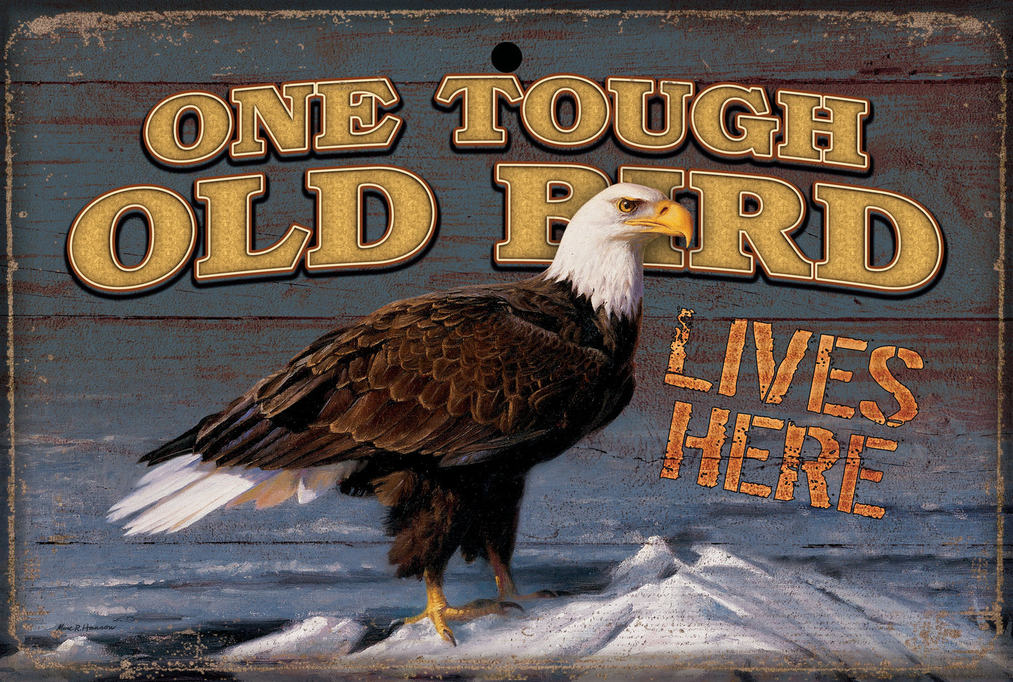 5209601815_0812_ToughOldBird_10015_HANM32048.jpg