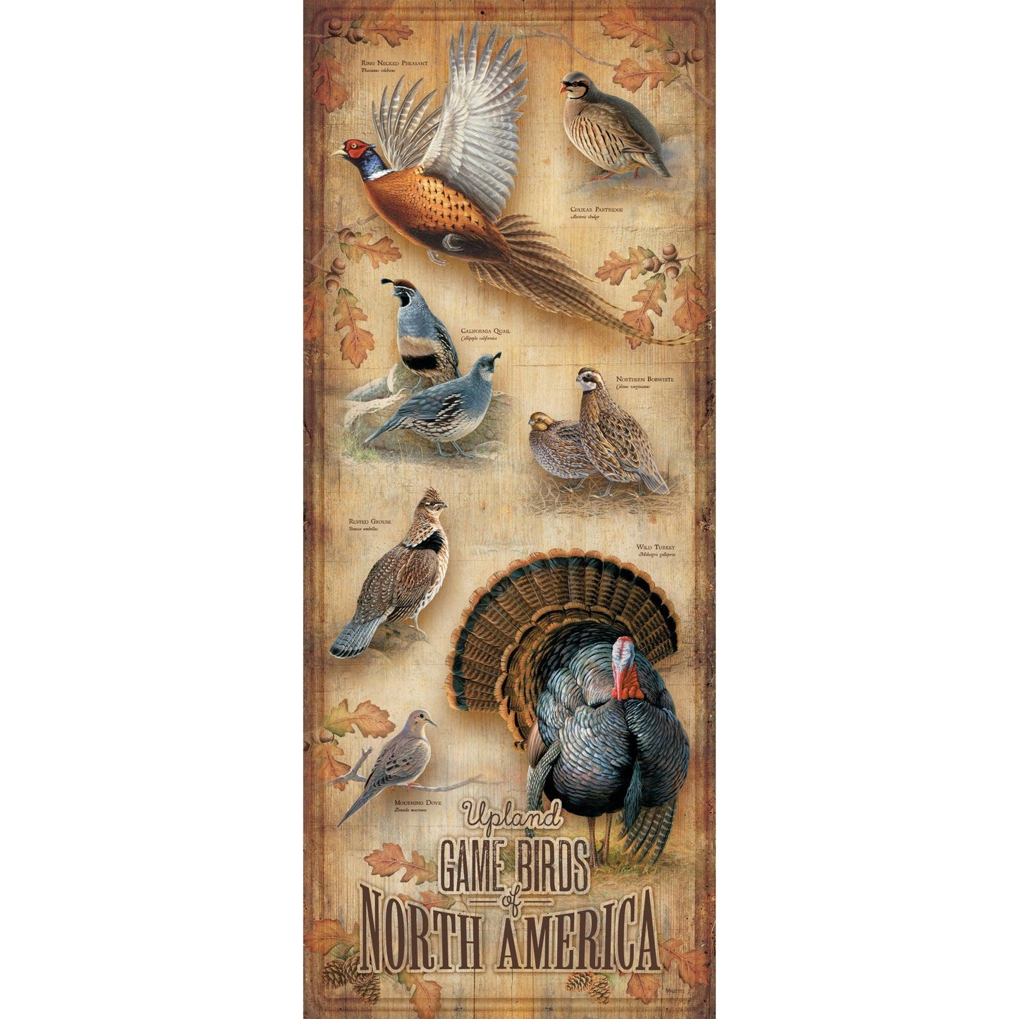 Upland Game Birds - 12" x 30" Wood Sign