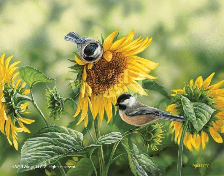 Songbirds vs Goldfinch - Paper Print