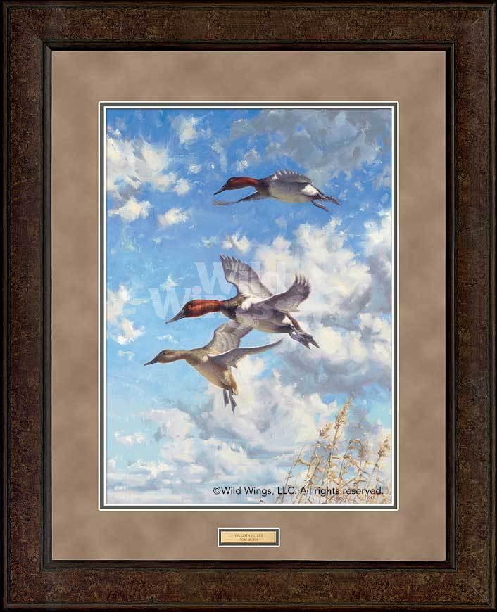 Dakota_Bulls_Canvasbacks_Moen_EPR5951809Dd_a93e8fbf-ffe2-4d20-aabb-70cdeab09dcd.jpg