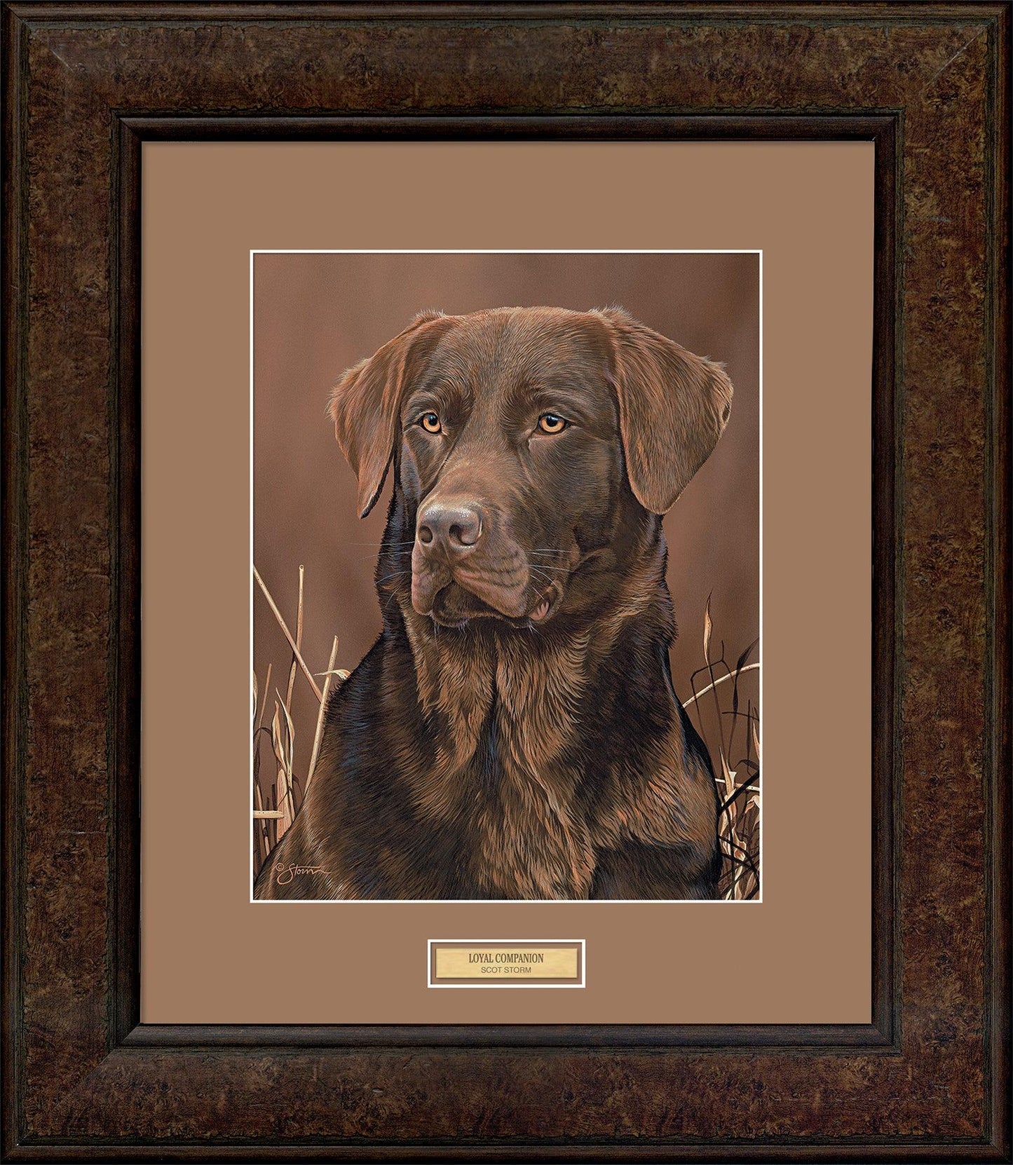 F830525056.jpg