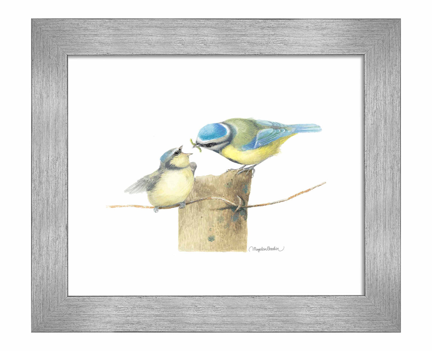 The Early Bird - Art Prints