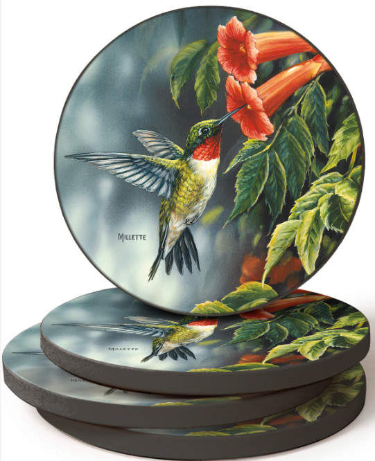 Hummingbird - Coasters