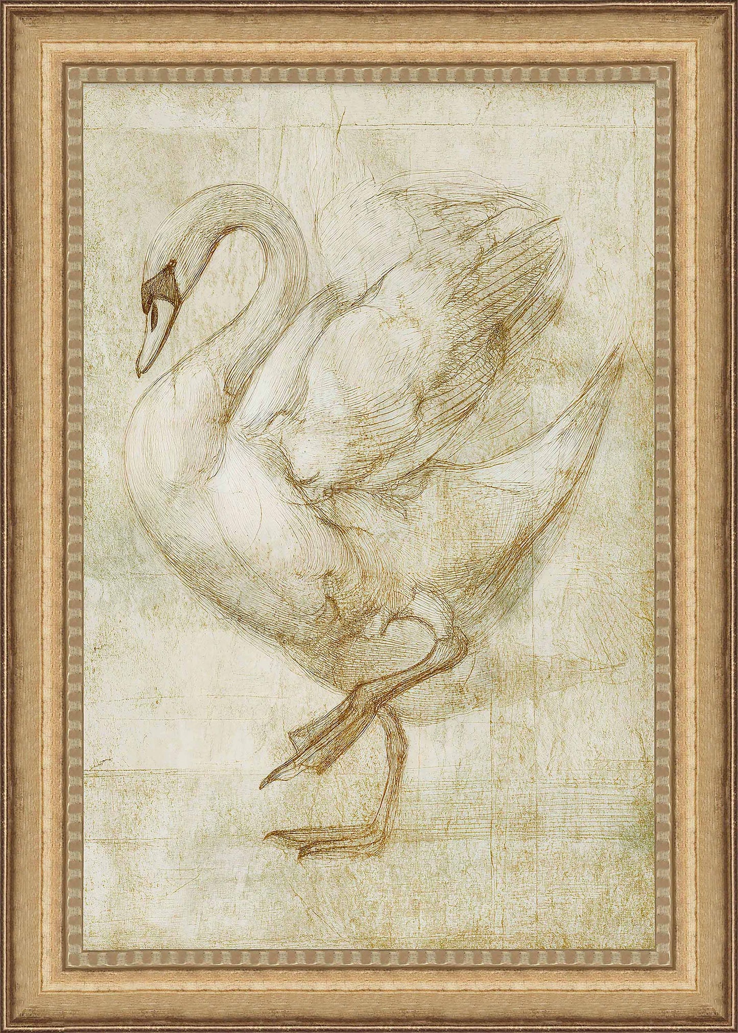 Martha Stewart Skylands | Naturalist Study: Waterfowl II | Framed Vintage Wildlife Illustration | New England Estate Wall Art