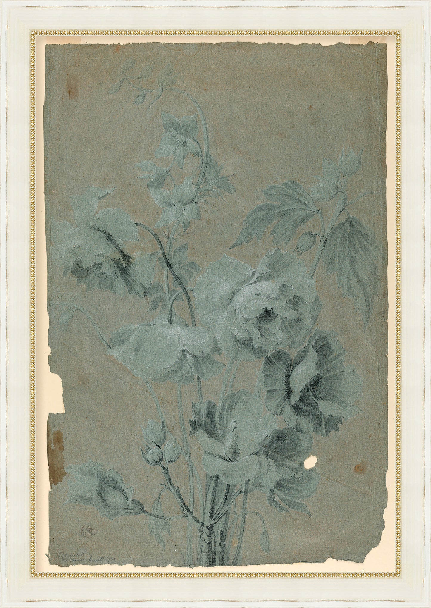 Martha Stewart Skylands | Woodland Botanical Study I | Framed Vintage Fern & Floral Illustration | Historic Estate Décor