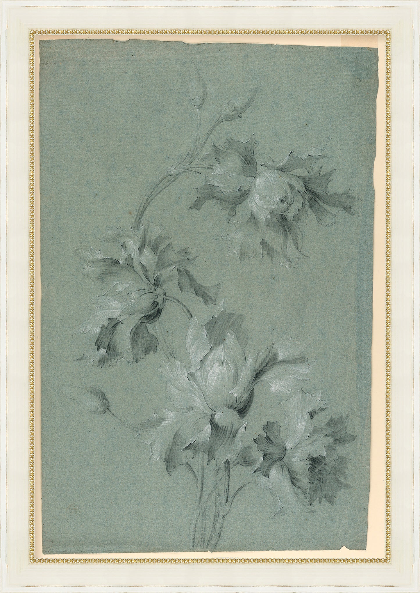 Martha Stewart Skylands | Woodland Botanical Study II | Framed Vintage Fern & Floral Illustration | Historic Estate Décor