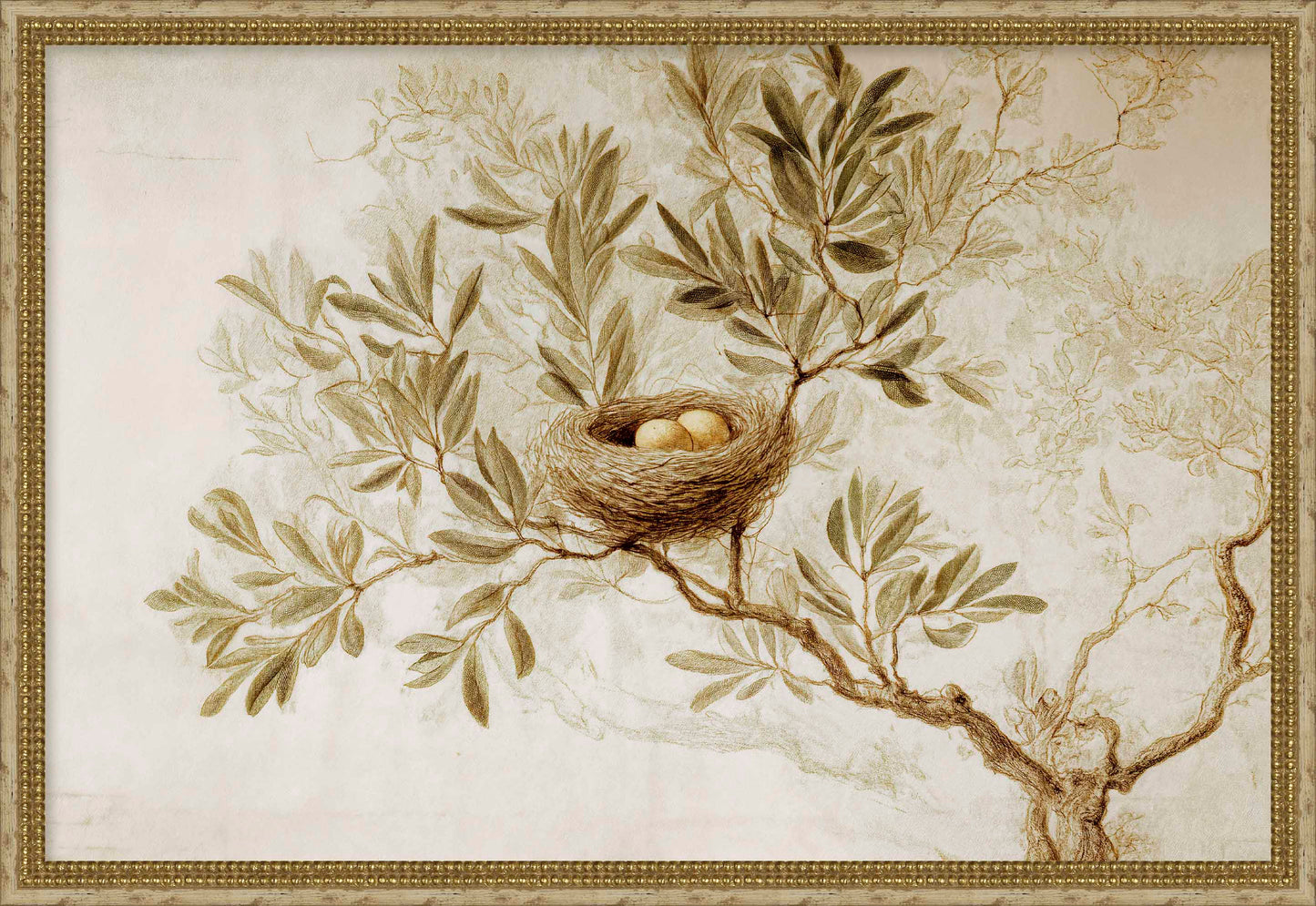Martha Stewart Skylands | Songbird Study | Framed Vintage Bird Illustration | Estate Botanical Wall Art