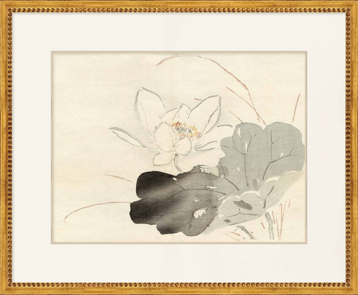 Martha Stewart Perry Street | Modern Botanical: Orchid Study | Framed Contemporary Wall Art