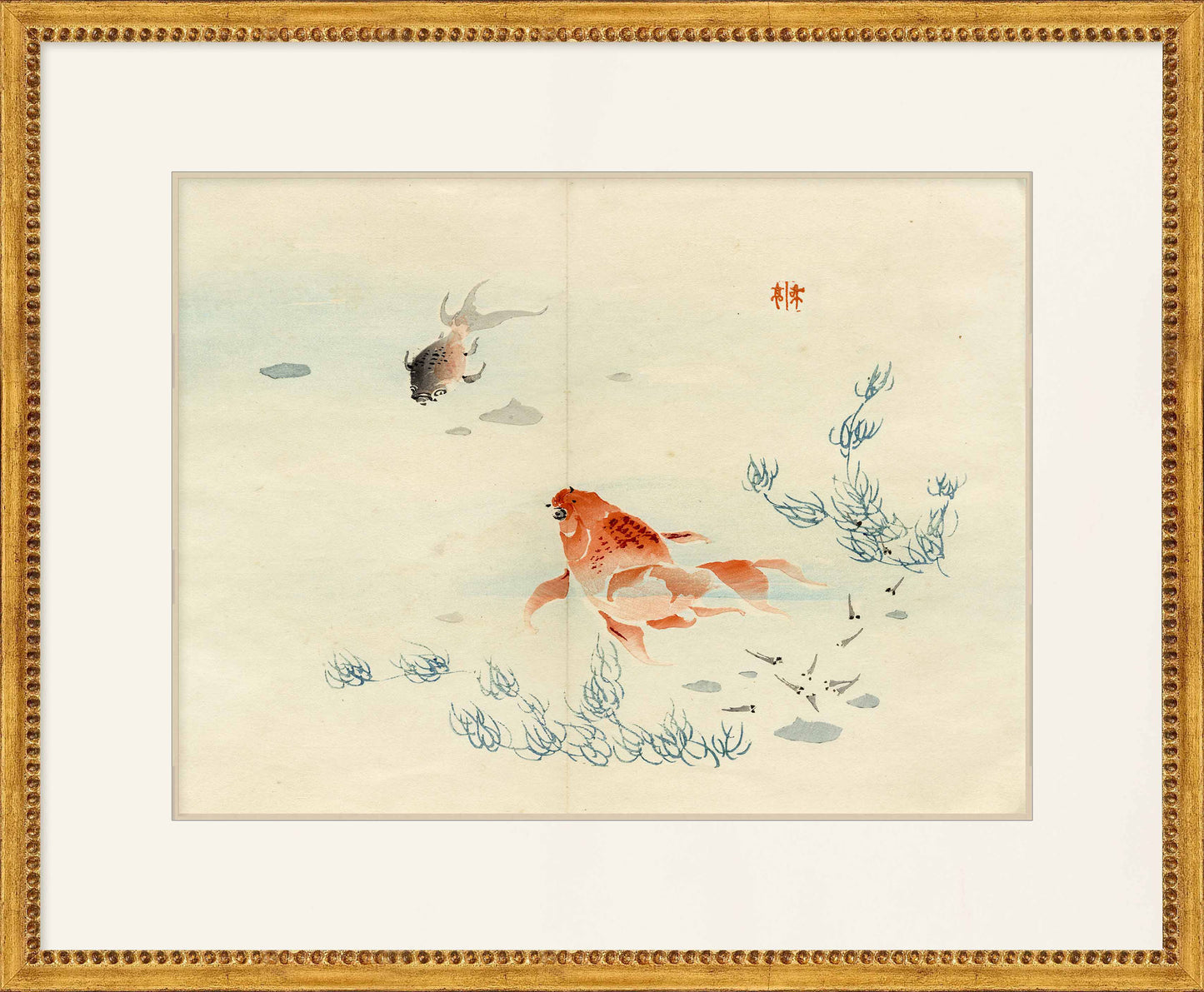 Martha Stewart Perry Street | Modern Still Life: Goldfish Composition | Framed Contemporary Art