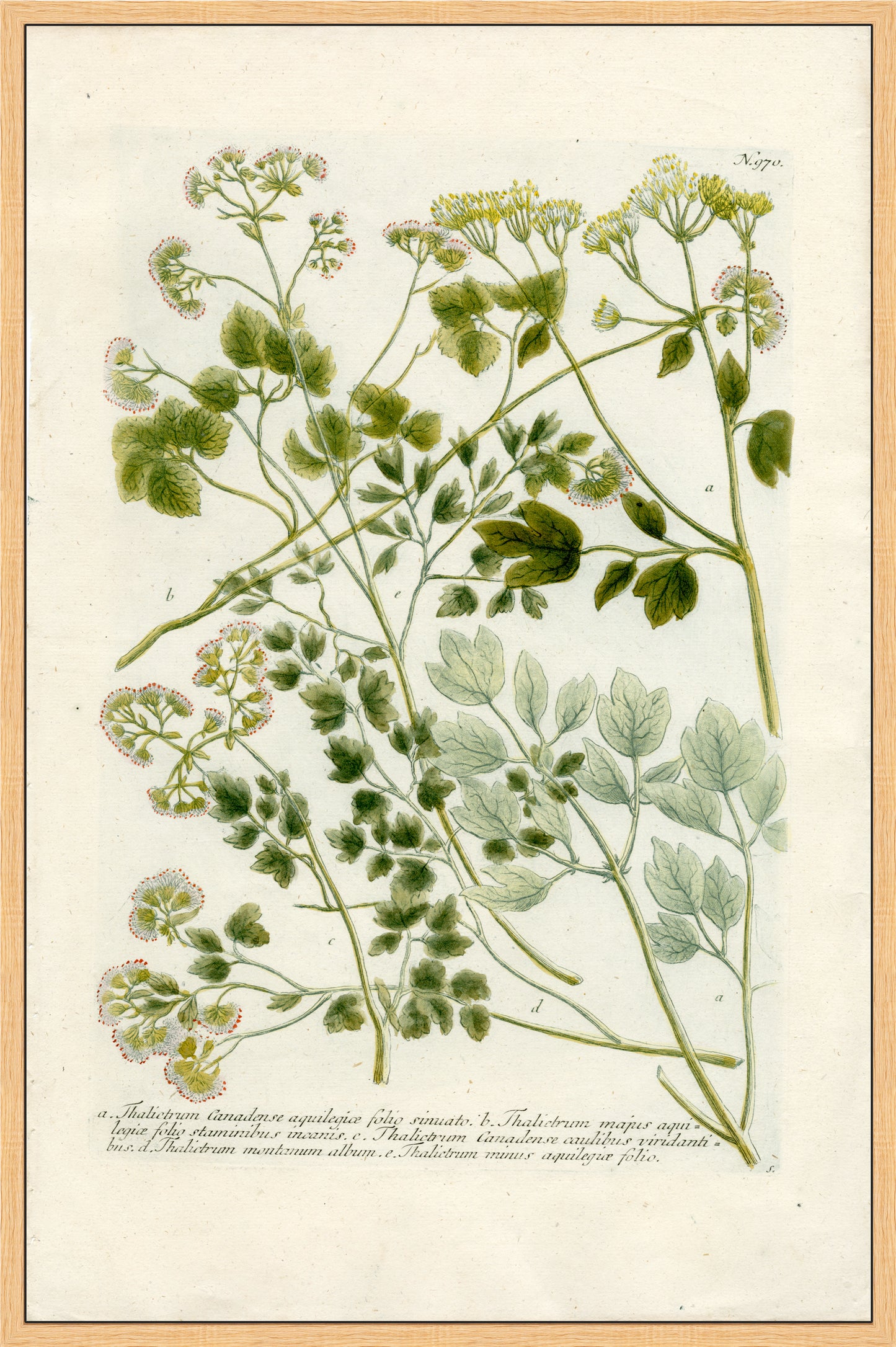 Martha Stewart Bedford | Vintage Vegetable Chart II | Framed Country Farmhouse Wall Art