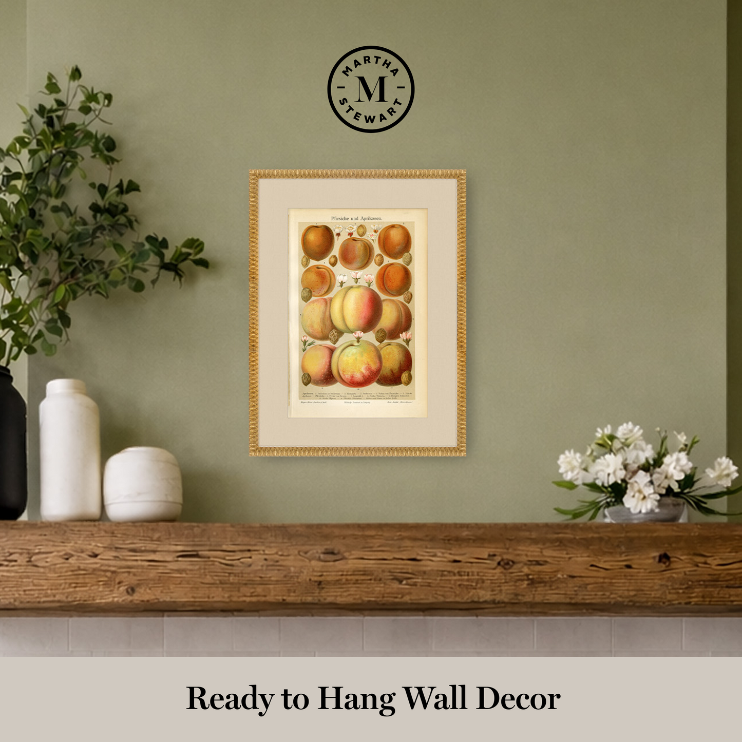 Martha Stewart Bedford | Orchard Study: Peaches | Framed Country Farmhouse Wall Art
