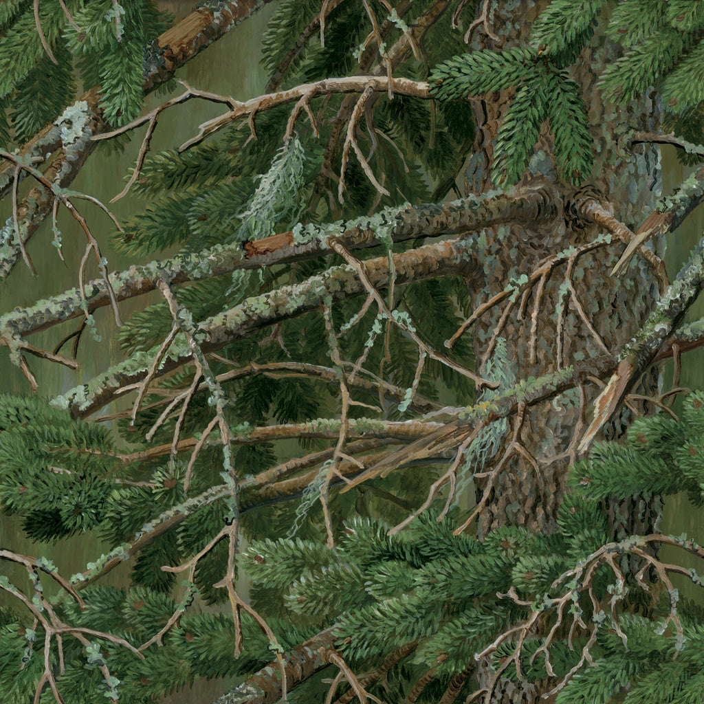 WEIR89499.jpg