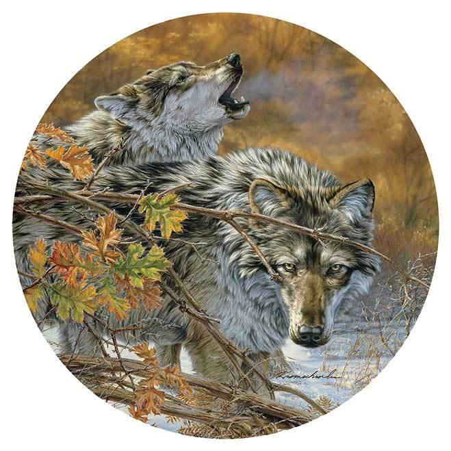 Wolf