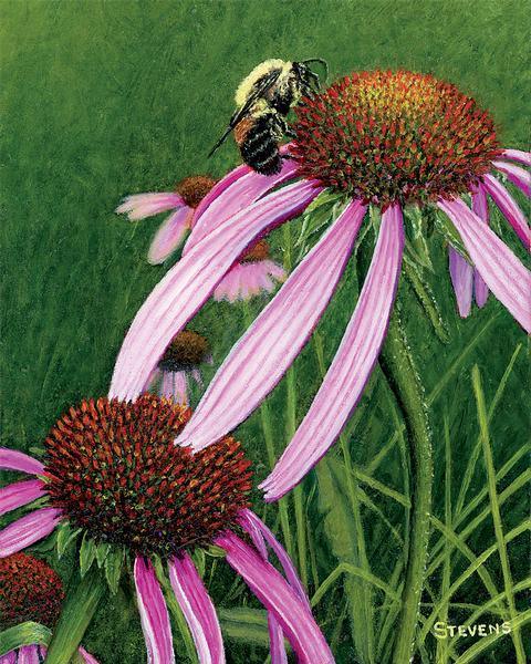 beauty-and-the-beest-group-1825087585IG_3d80d97a-595e-4b59-84f3-bea1489a58aa.jpg