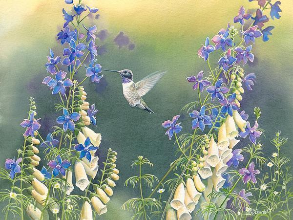black-chinned-hb-wfoxglove-delphiniumbour-1085085741_2000x_aa02ddef-9f7f-414d-9906-a5696b8a0ec4.jpg