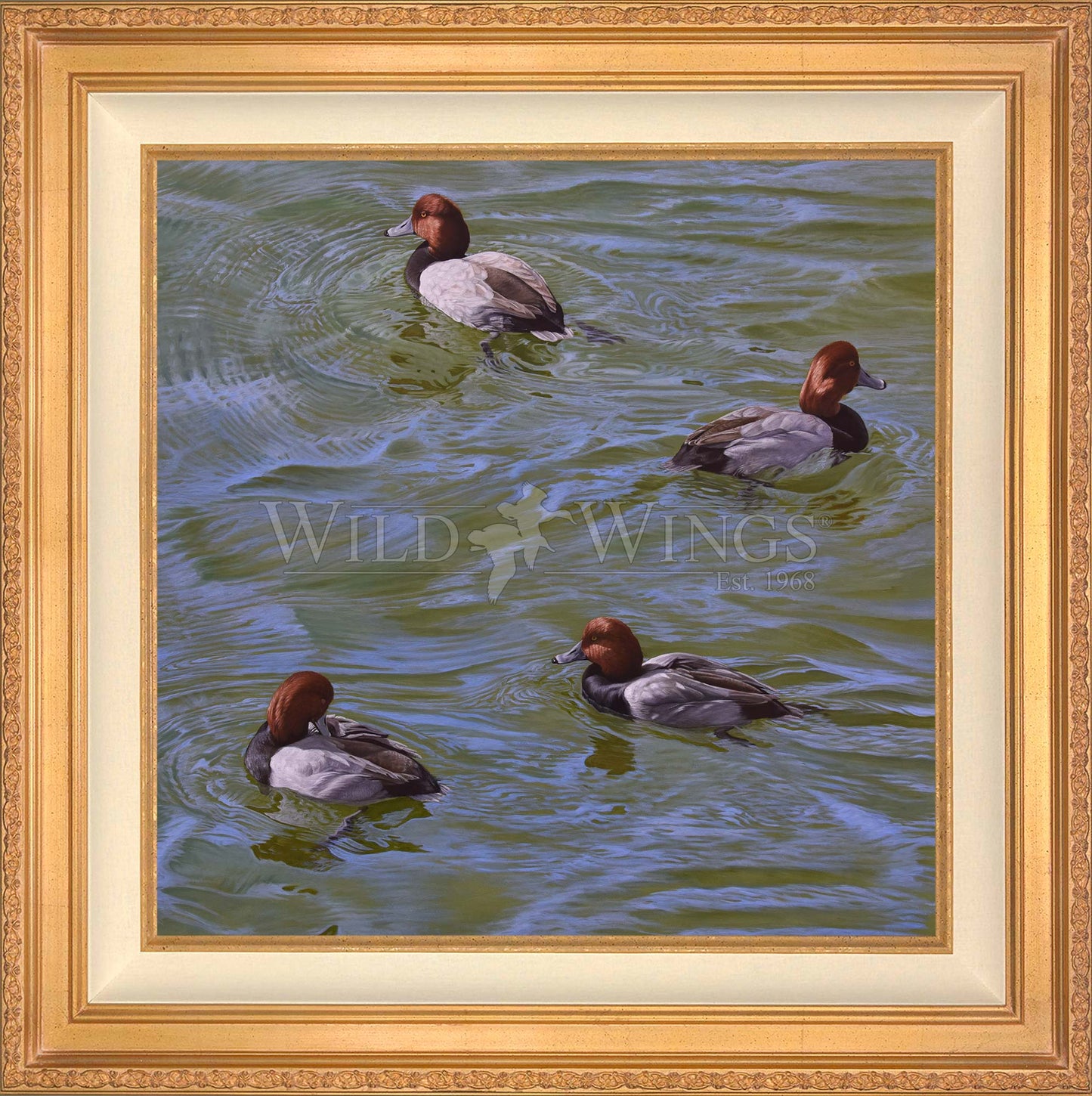 Framed swimming ducks