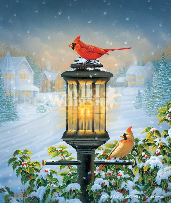 cardinal-art-print-evening-glow-by-sam-timm-1874193026d_a5f85ae0-5b43-4e4c-be5e-75b8d96e3a4c.jpg
