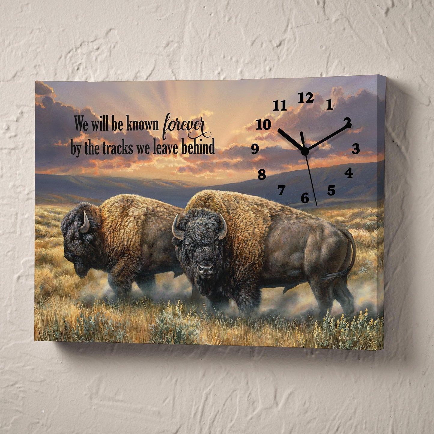 Dusty Plains - Bison