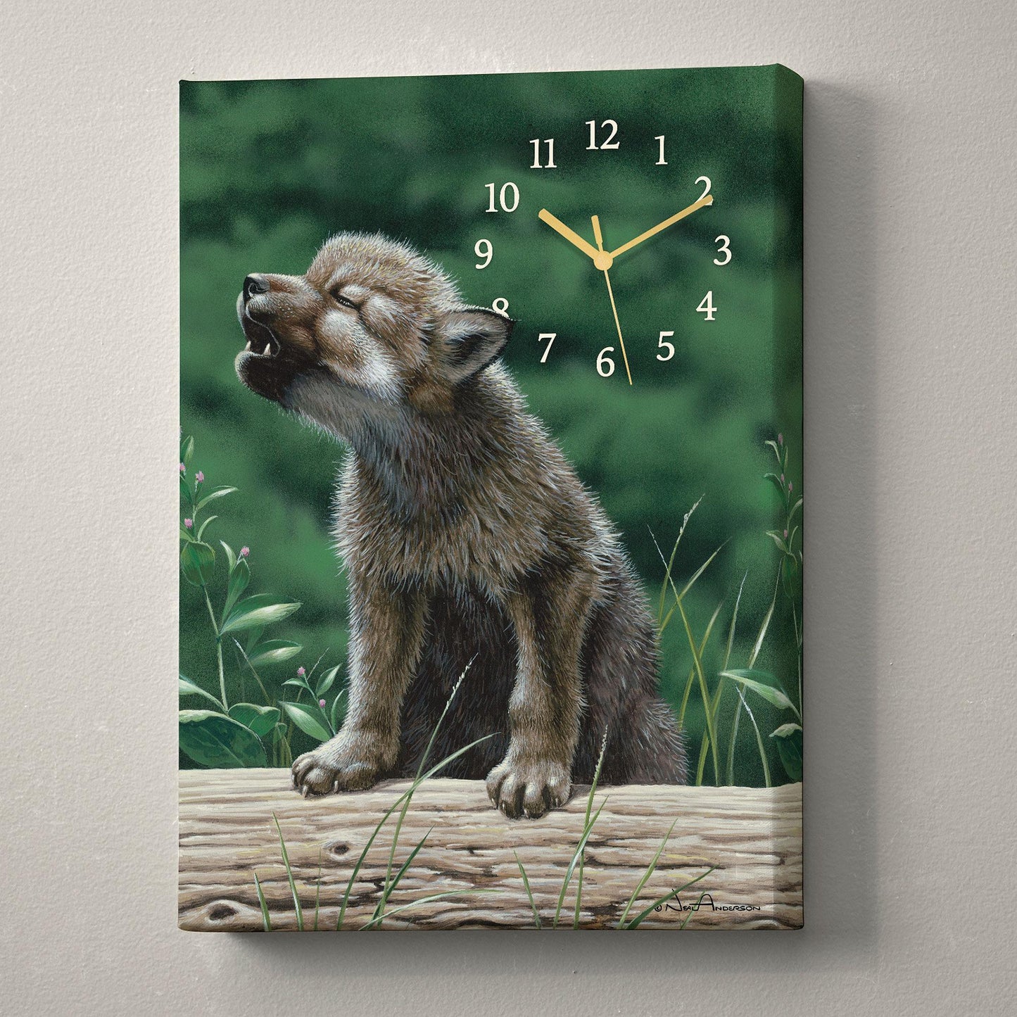 Wolf in Training
