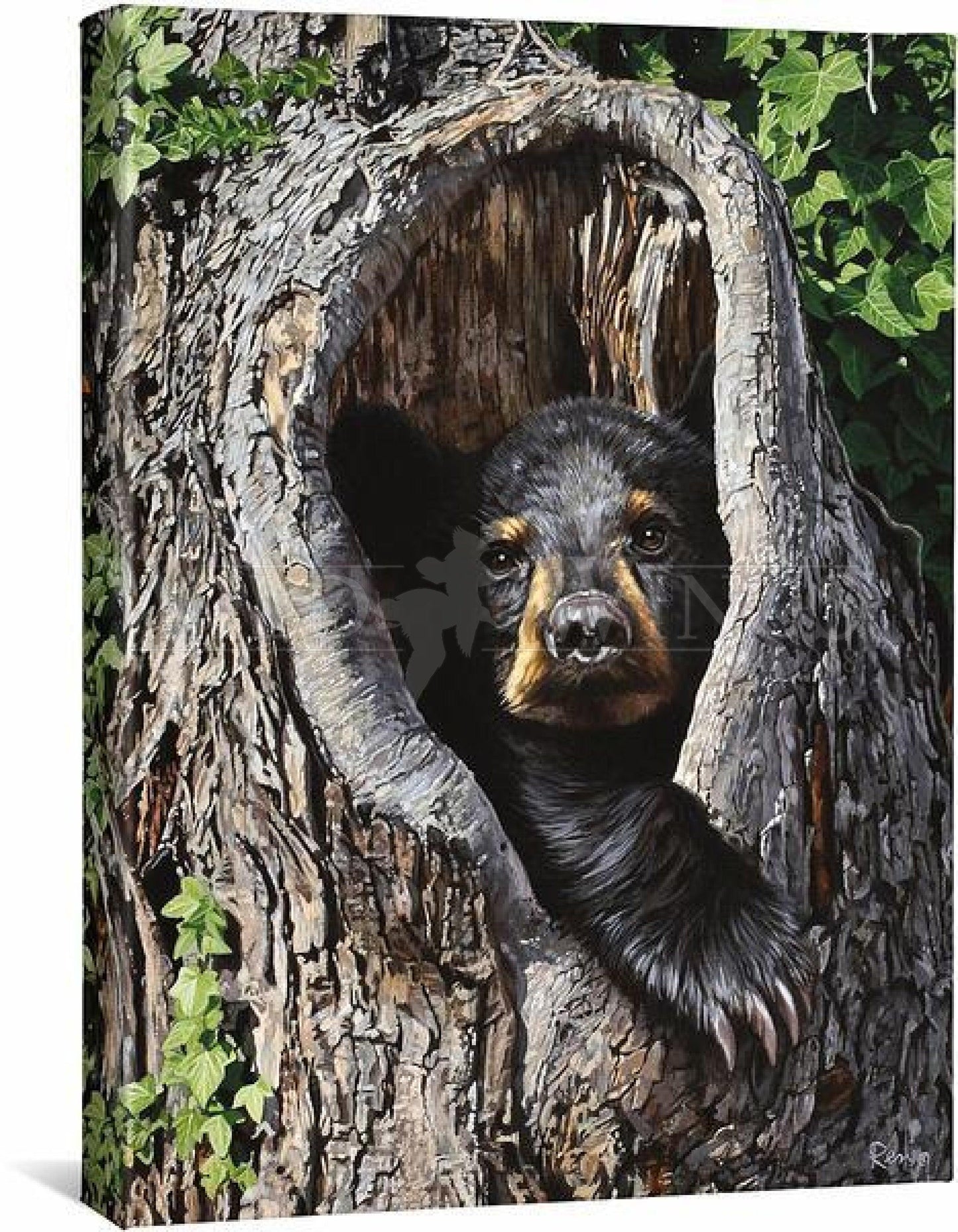 cubby-holemdashblack-bear-gallery-wrapped-canvas20-5h-x-16w-art-collection_646.jpg