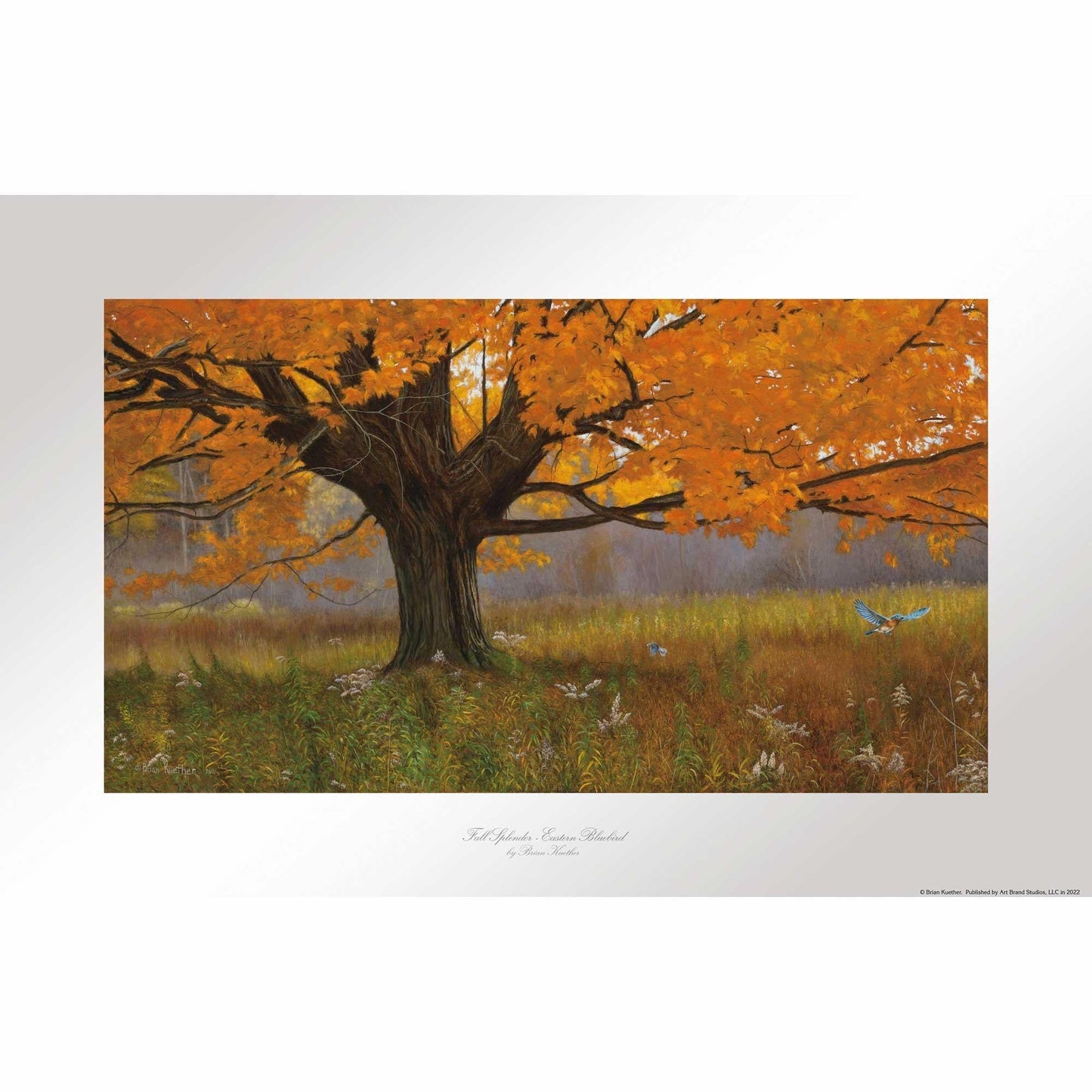 fall-splendor-eastern-bluebird-print-brian-kuether-1471375038_2a89654d-c442-4c5c-9b9c-dfc013cc8e54.jpg