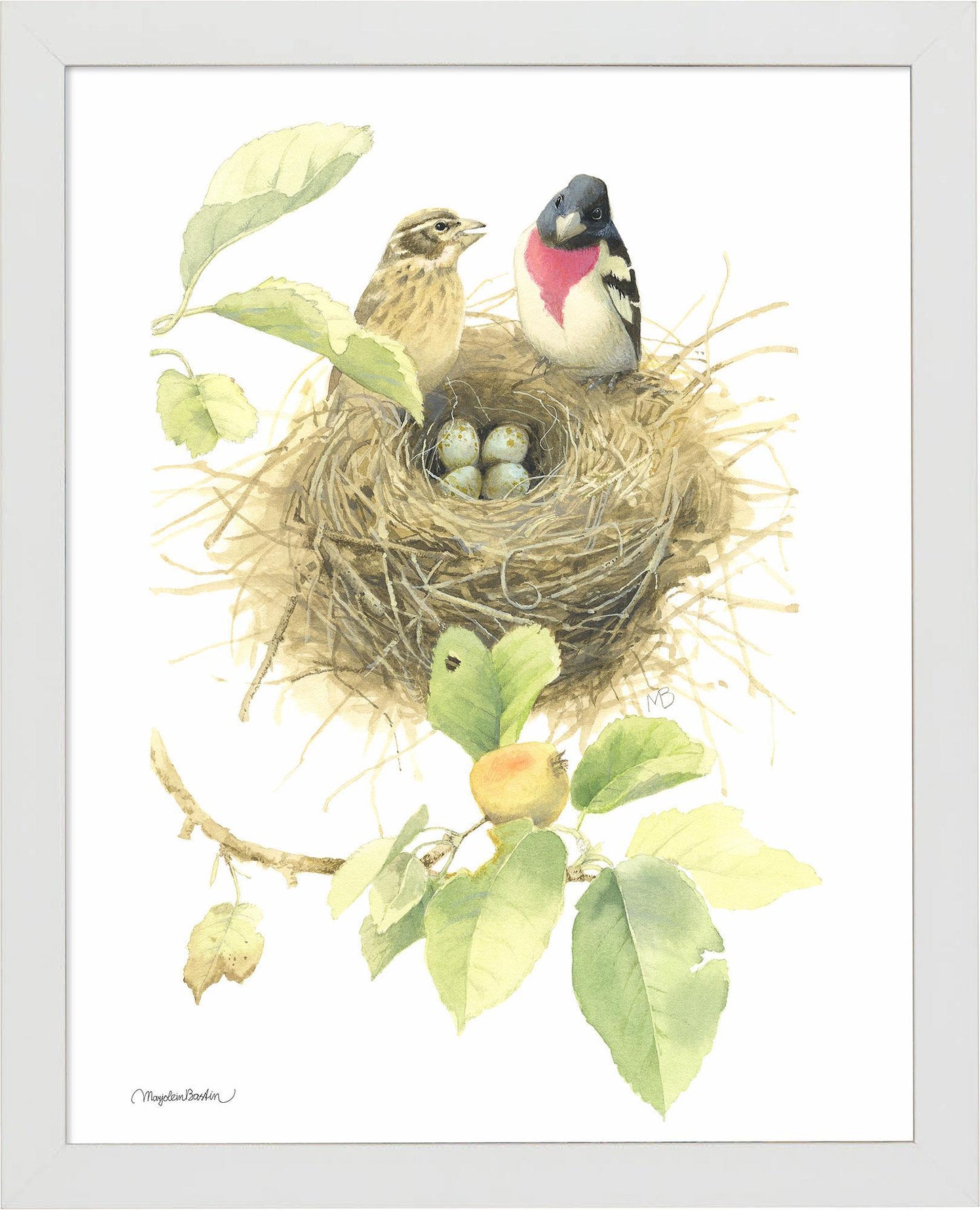 fd-startingfamilyrb-grosbeaks14x11-ap-whit-F058710026W.jpg