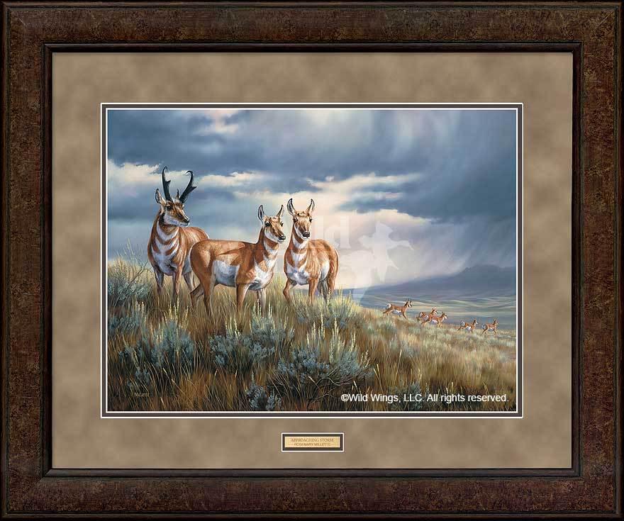 Approaching Storm - Pronghorns - GNA Premium Print