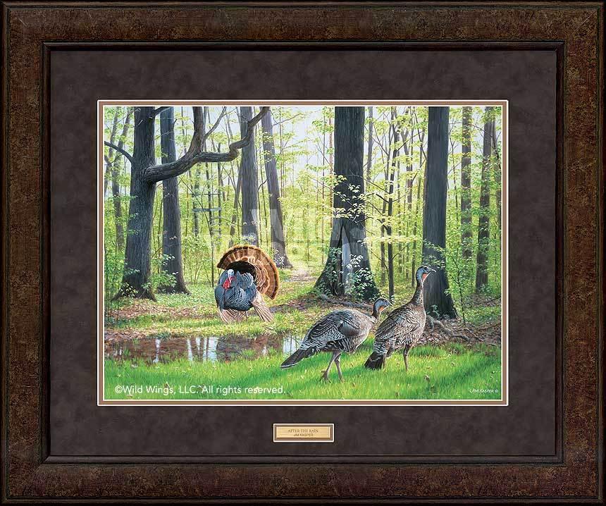 After the Rain - Turkeys - GNA Premium Print
