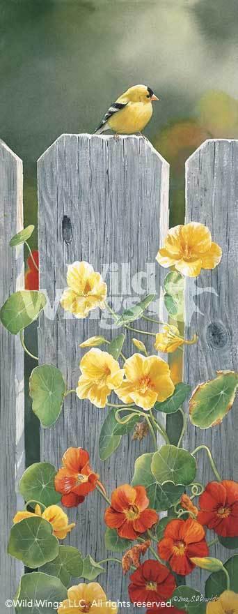 golden-afternoon-goldfinch-by-susan-bourdet-1085210029d_837ffea5-2101-4577-abaa-5e89d37c75a3.jpg