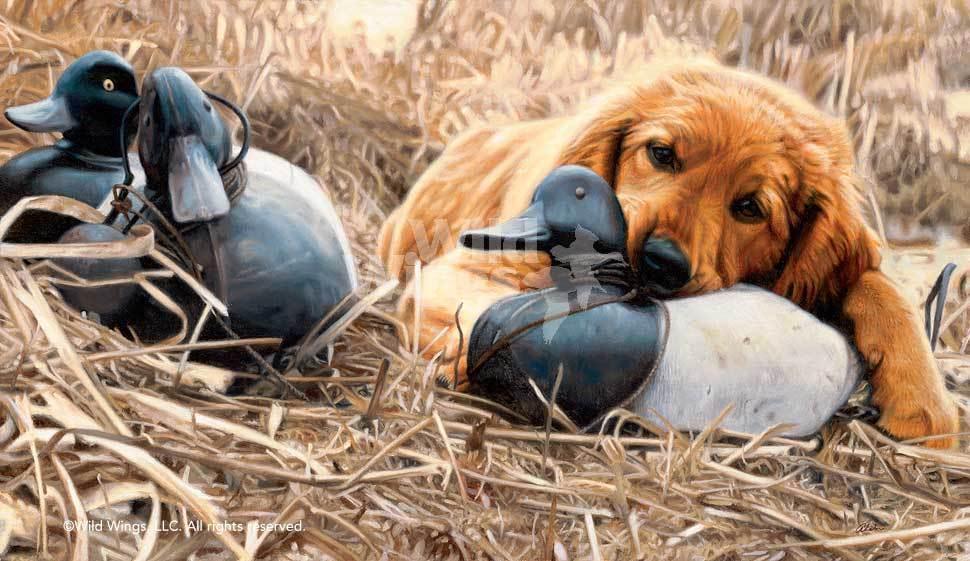 golden-retriever-puppy-dog-painting-shore-lunch-by-john-aldrich-A020613060d_98992660-fd2a-4397-8662-6918f5850fec.jpg