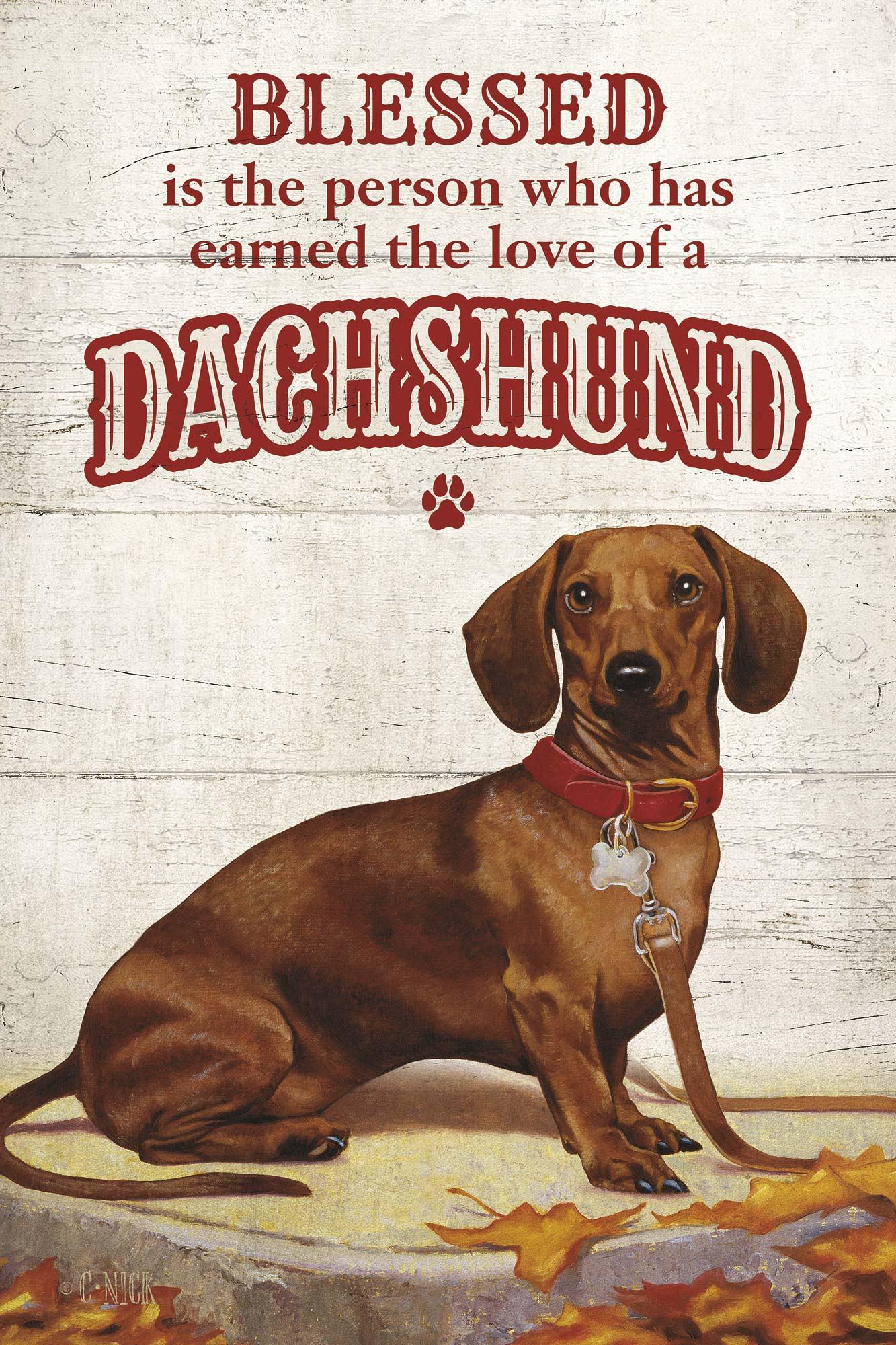 Hot Dog-Dachshund - 18" x 12" Wood Sign