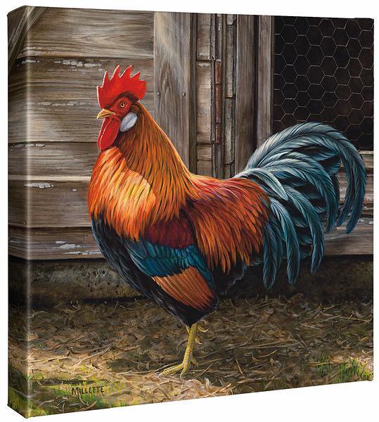 leghorn-light-brownwc31millette-F593340380CGW_5f6bc67f-e84a-497b-91cb-afe74ce16131.jpg