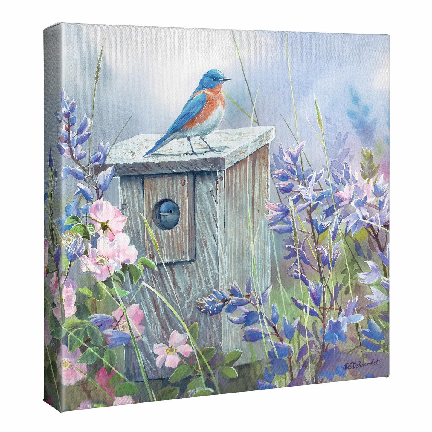 Meadow View - Eastern Bluebird - 14" x 14" Gallery Wrapped Canvas