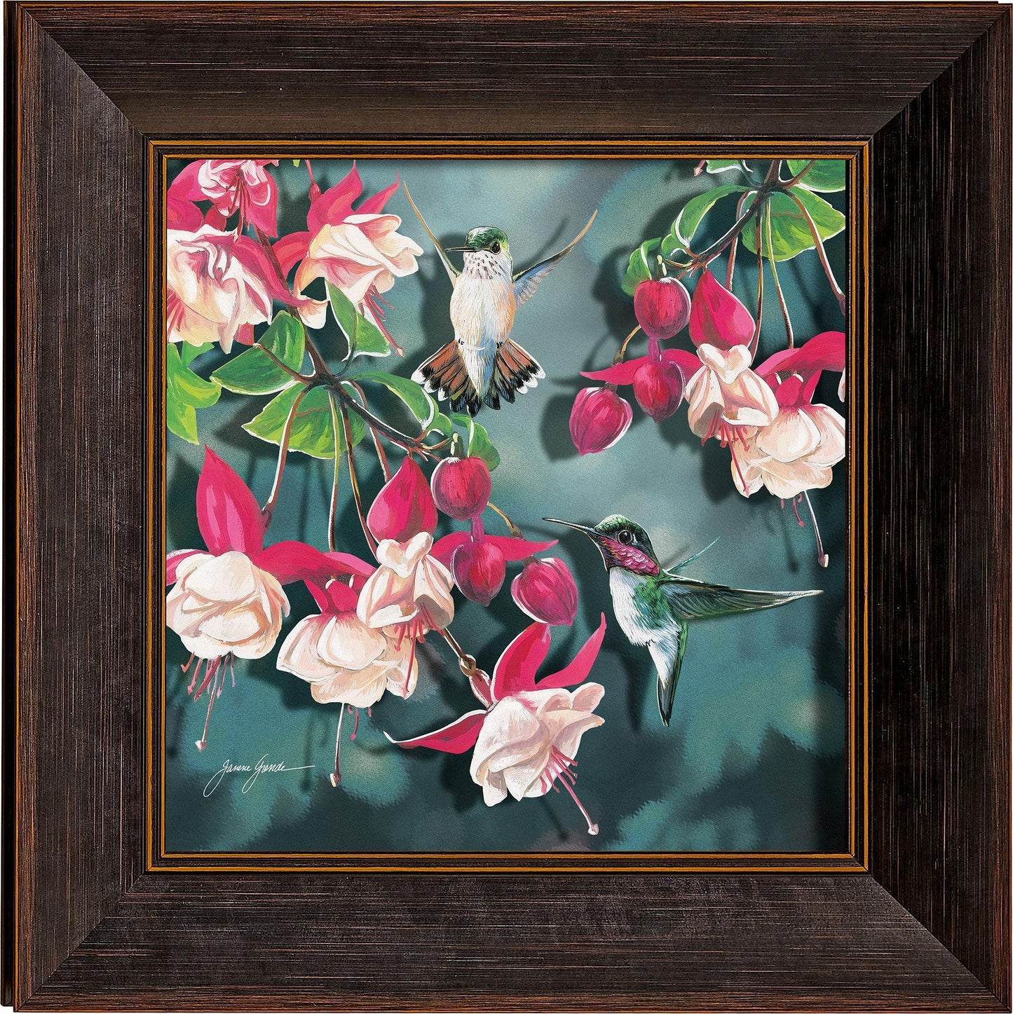 natures-ballet-dancers-ruby-throated-hummingbirds-art-collection-F351169941IG.jpg