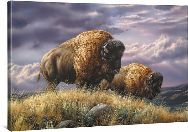 nomads-of-the-plains-bisonwc7millette-F593530469CGW_0b331f3a-7040-41c1-b4ed-bd45b23f8a04.jpg