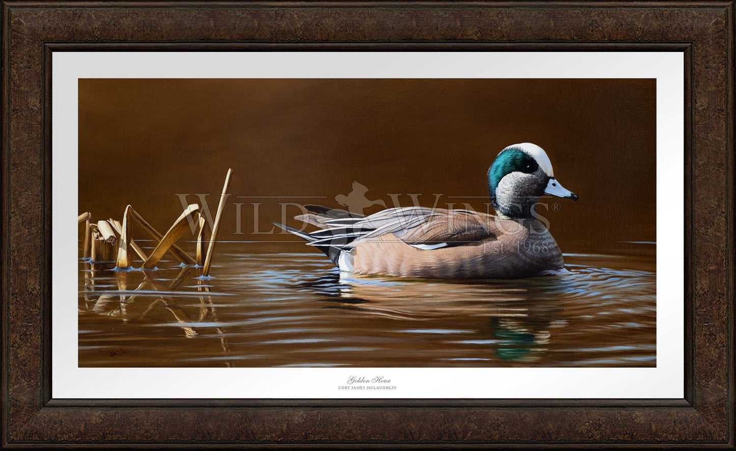 Framed duck in waters