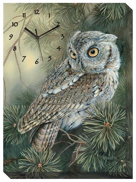 Screech Owl