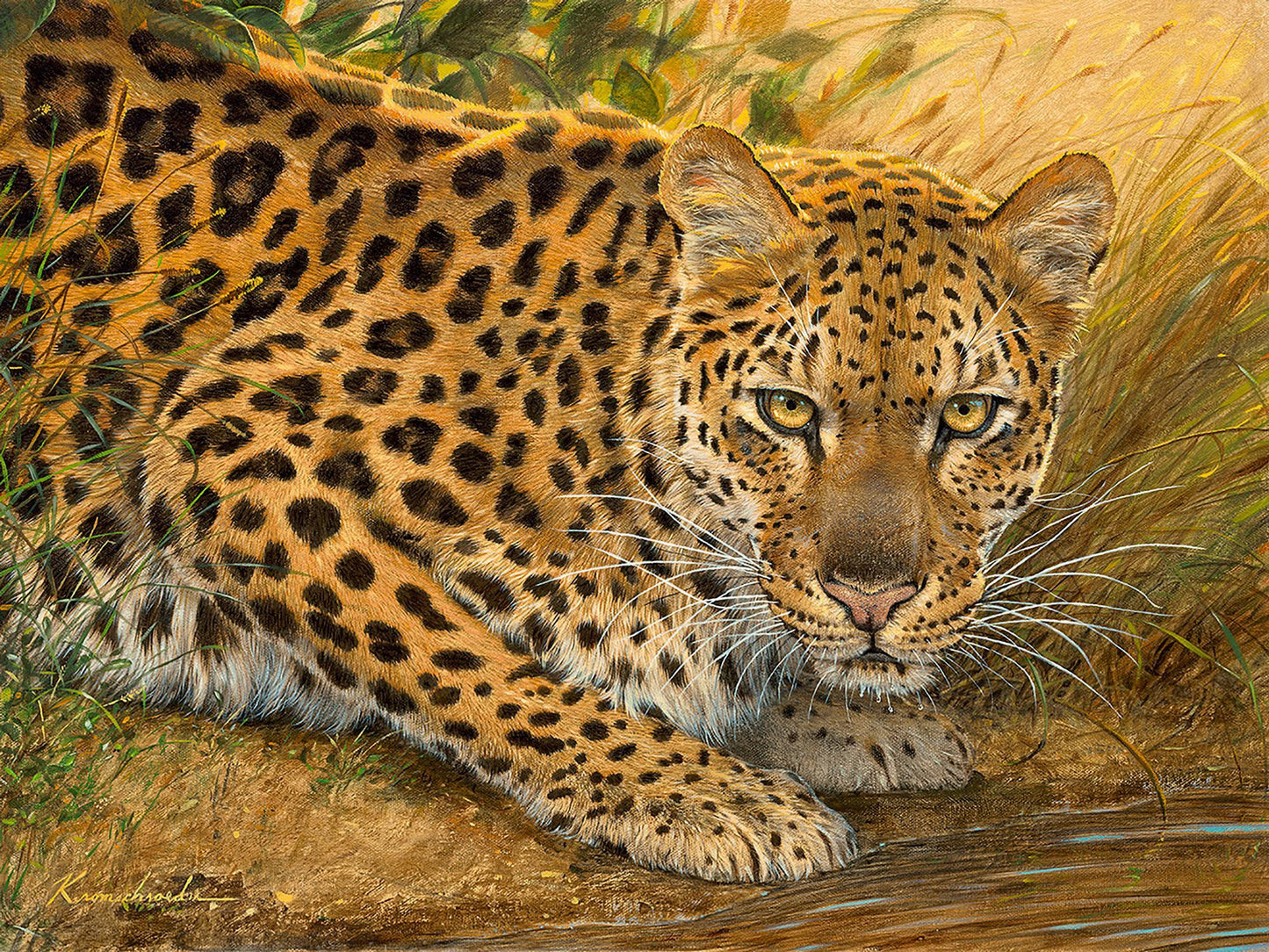 sunrise-at-the-water-leopardcanvkromschroe-1476729073.jpg