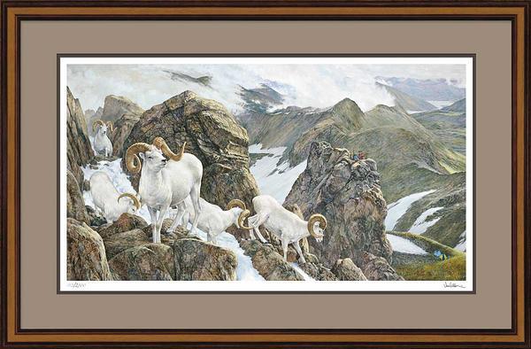 the-unexpected-one-elk-rem-vangilder-framed-printF913757170.jpg