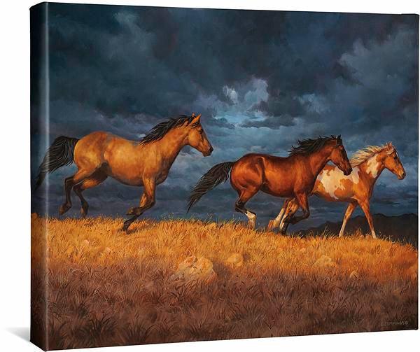 Thunder Ridge - 16" x 20.5" Gallery Wrappped Canvas