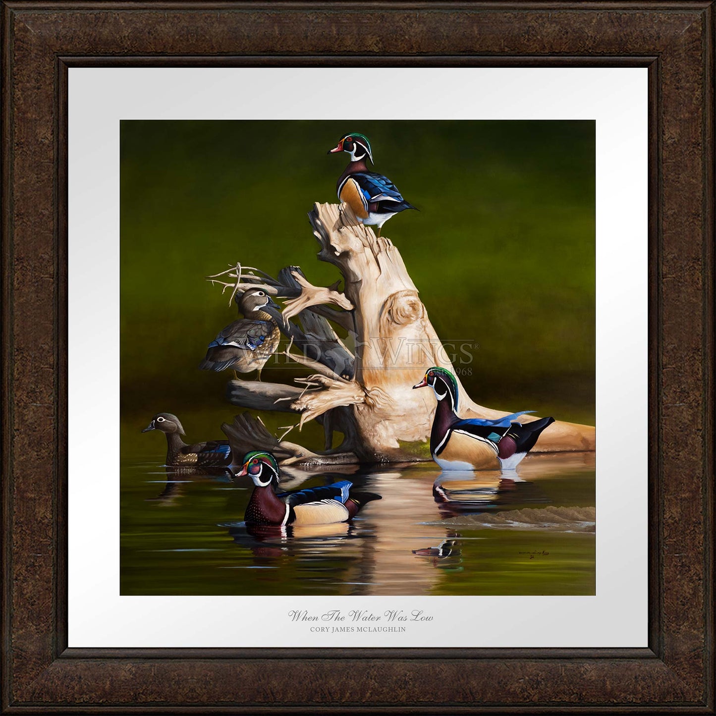 Framed birds in waters