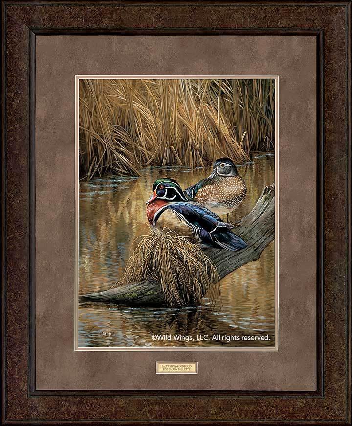 Backwaters - Wood Ducks - GNA Premium Print