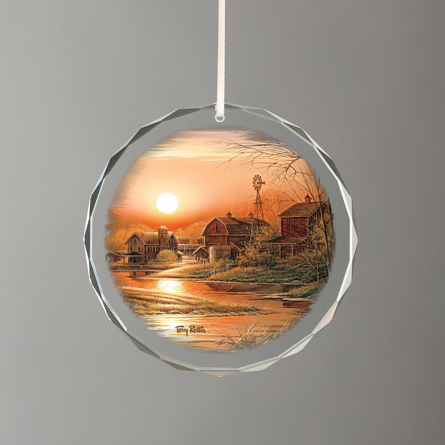 Shoreline Neighbors - Farm Round Glass Ornament - Wild Wings
