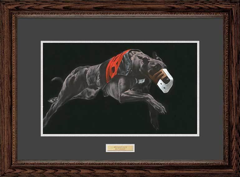 Midnight Run Framed Limited Edition Print - Wild Wings