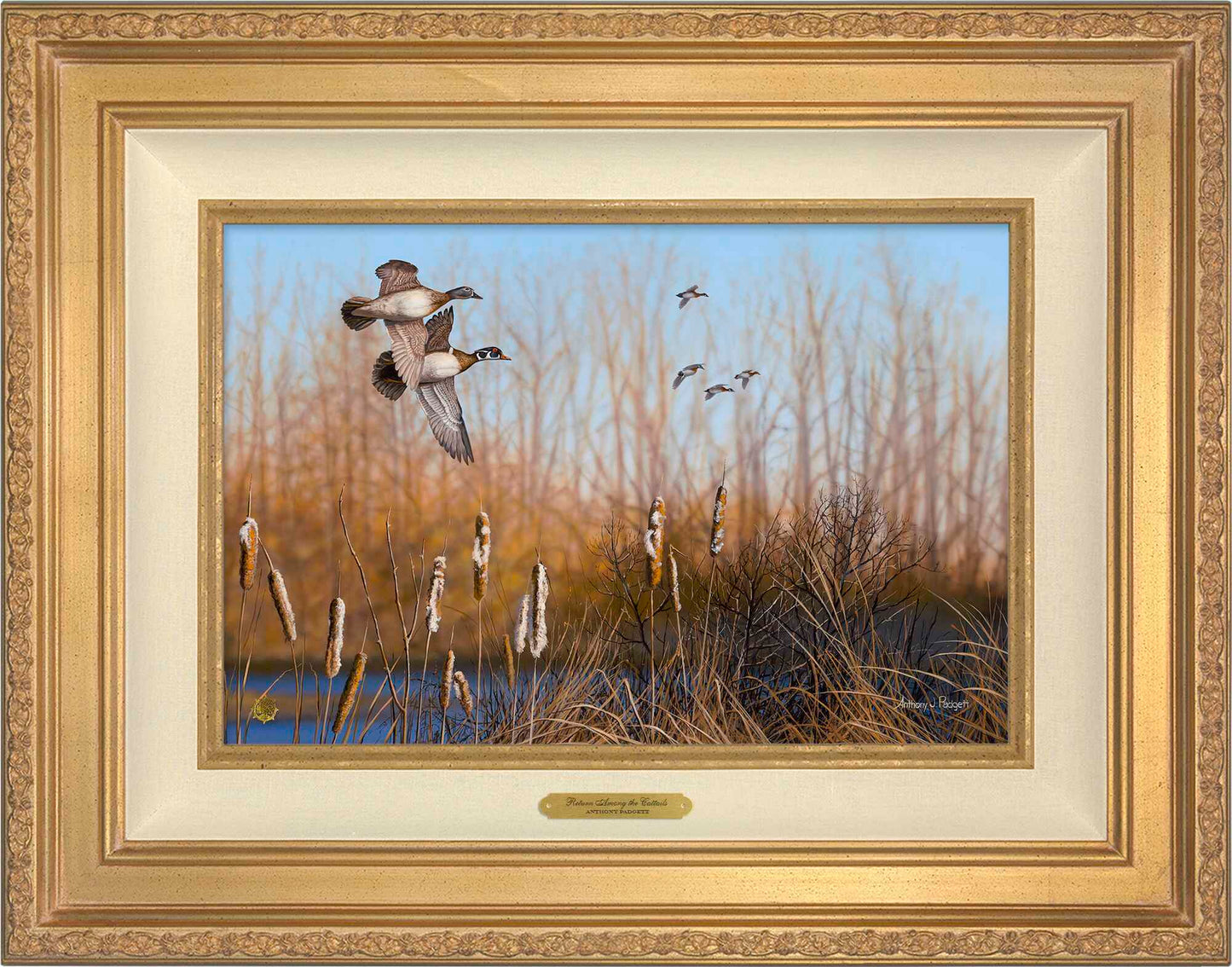 Return Among the Cattails—Wood Ducks; Artist Proof Edition (AP)