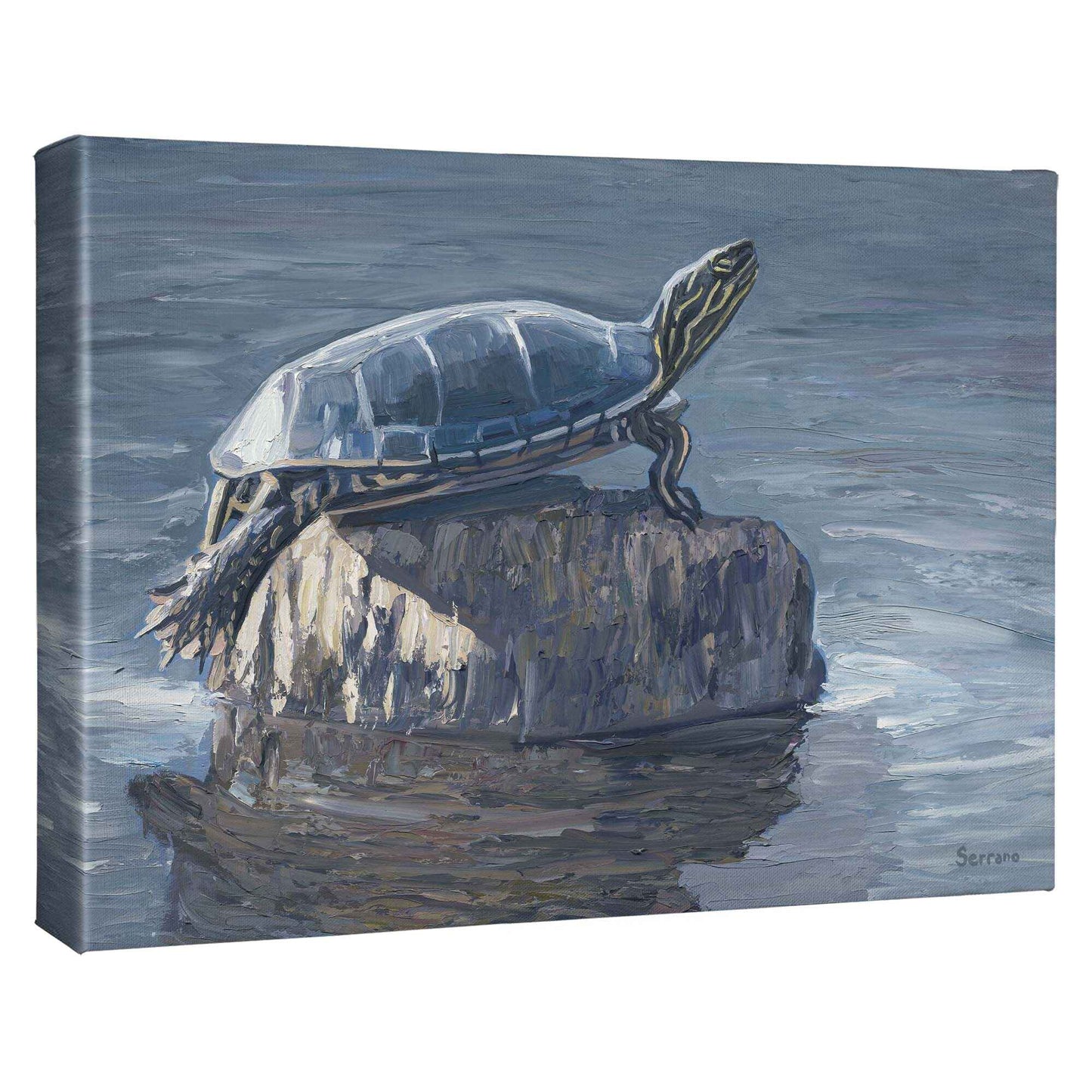 Painted Turtle - Gallery Wrapped Canvas